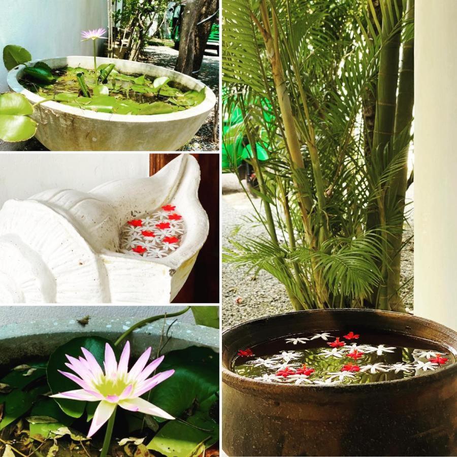 Rituale Guest House - Surf & Yoga 미리사 외부 사진
